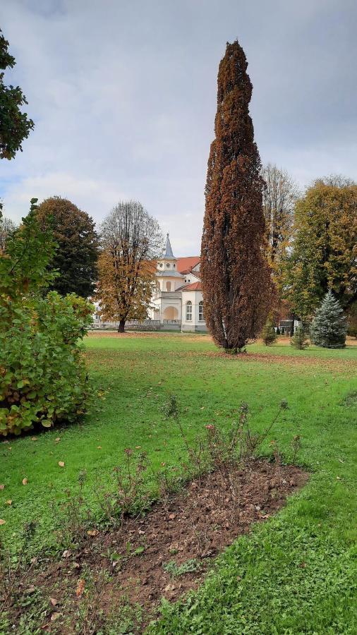 Apartman Mila, Banja Koviljača Zewnętrze zdjęcie