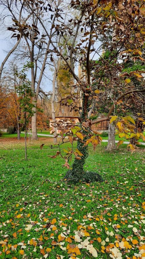Apartman Mila, Banja Koviljača Zewnętrze zdjęcie